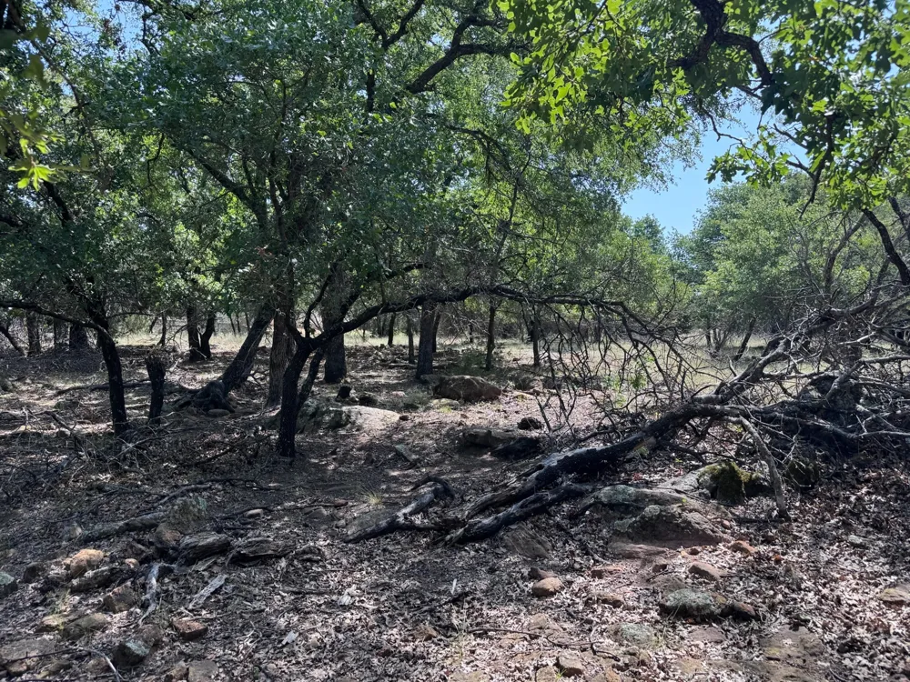 Glenhollow Drive Gordon, TX 76453