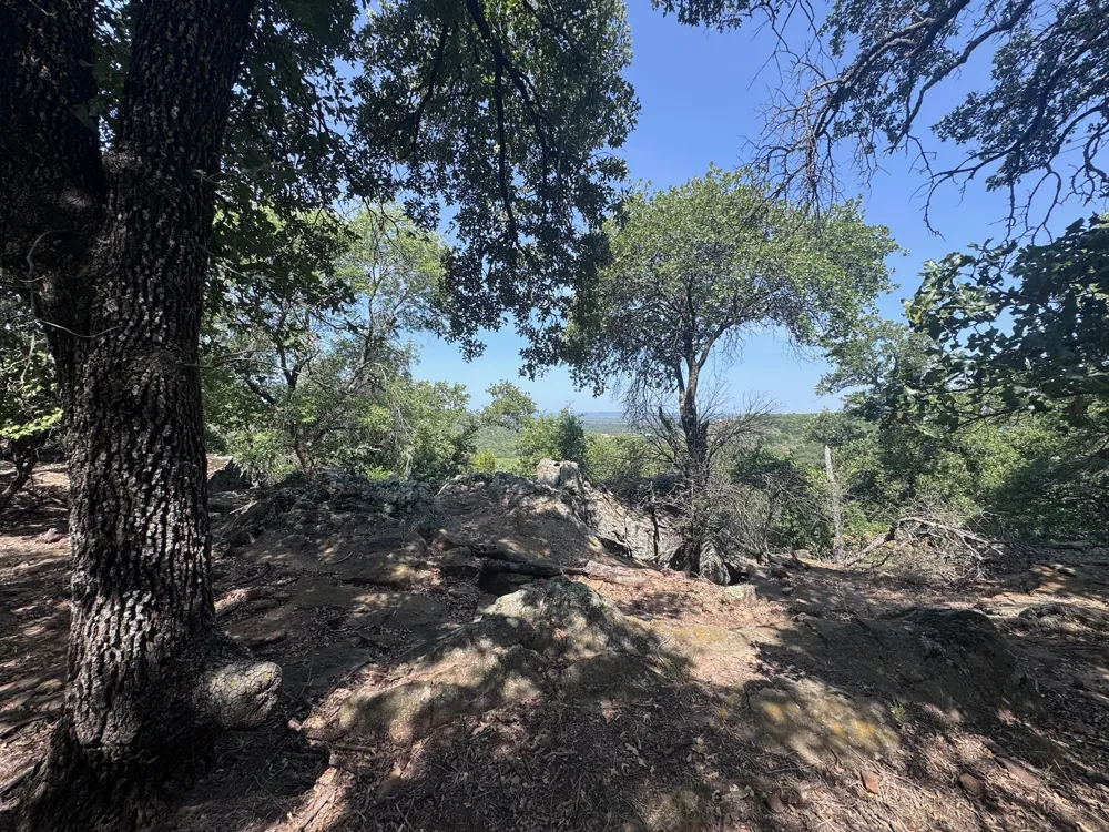Glenhollow Drive Gordon, TX 76453