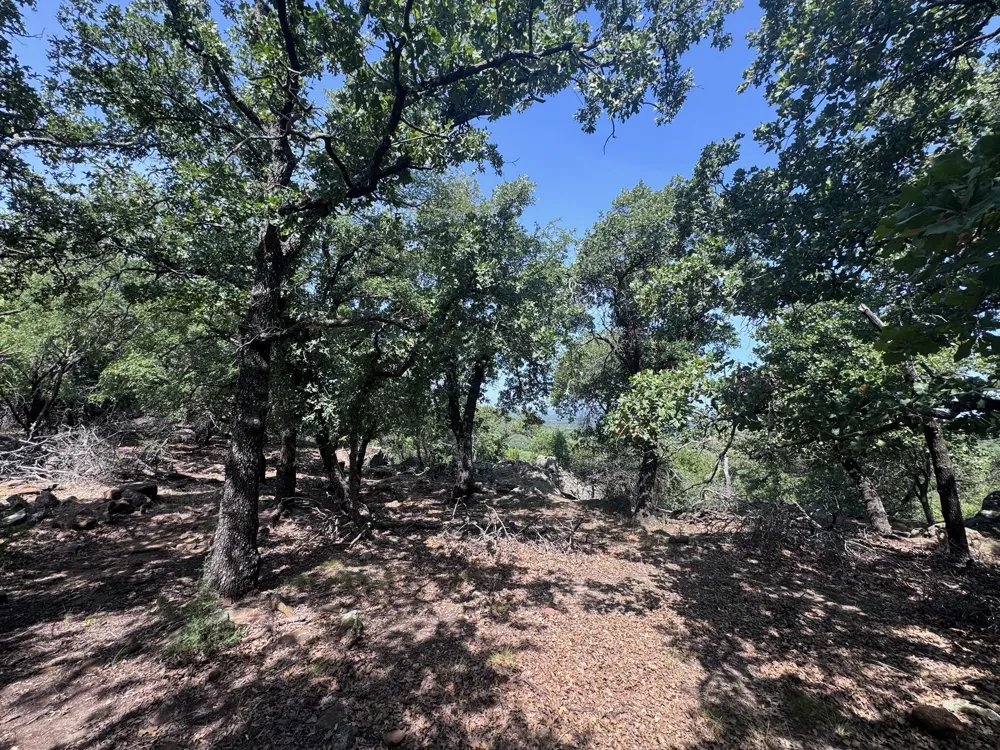 Glenhollow Drive Gordon, TX 76453