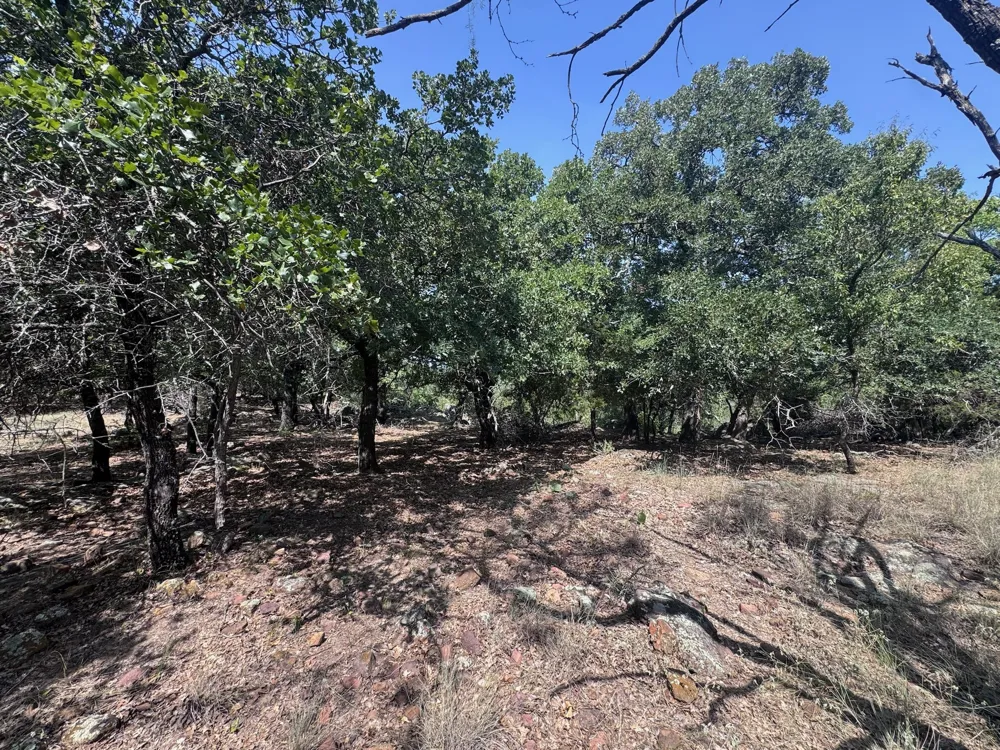 Glenhollow Drive Gordon, TX 76453