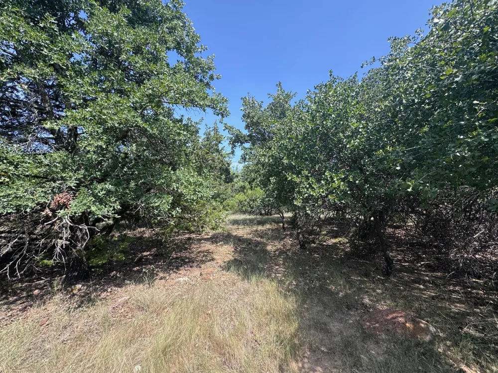 Glenhollow Drive Gordon, TX 76453