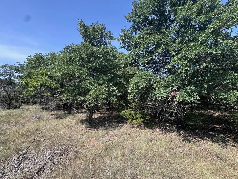 Glenhollow Drive Gordon, TX 76453