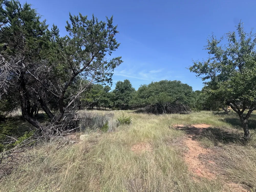 Glenhollow Drive Gordon, TX 76453