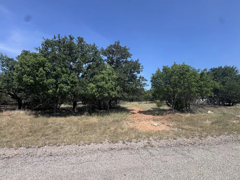 Glenhollow Drive Gordon, TX 76453