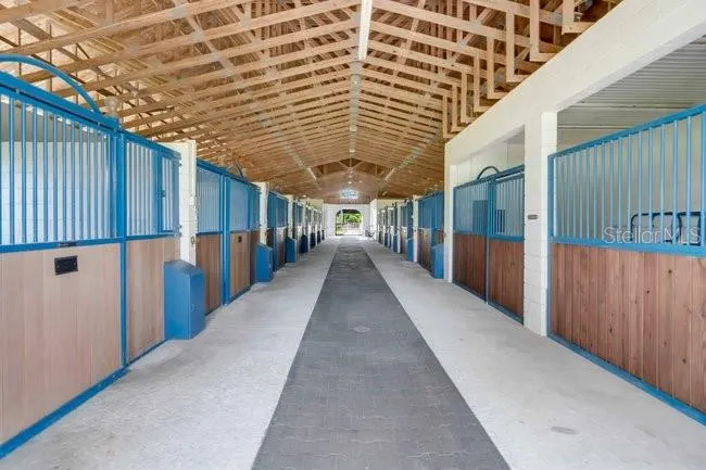 2121 DRESSAGE COVE Chuluota, FL 32766