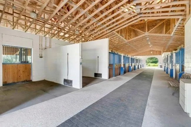 2121 DRESSAGE COVE Chuluota, FL 32766
