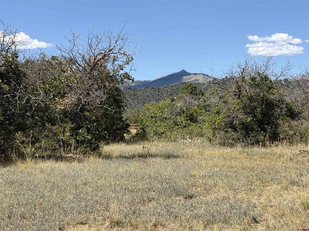 Roberts Ridge Road Hesperus, CO 81326