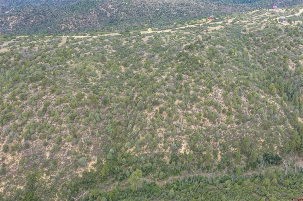 Roberts Ridge Road Hesperus, CO 81326