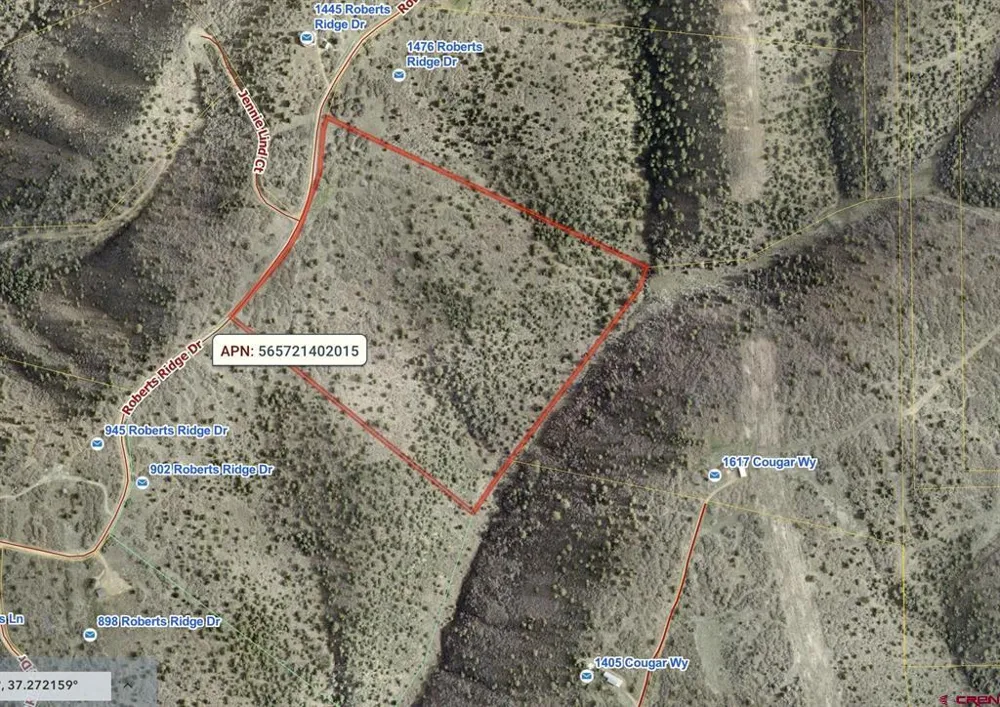 Roberts Ridge Road Hesperus, CO 81326
