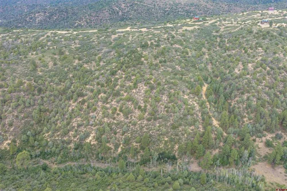 Roberts Ridge Road Hesperus, CO 81326