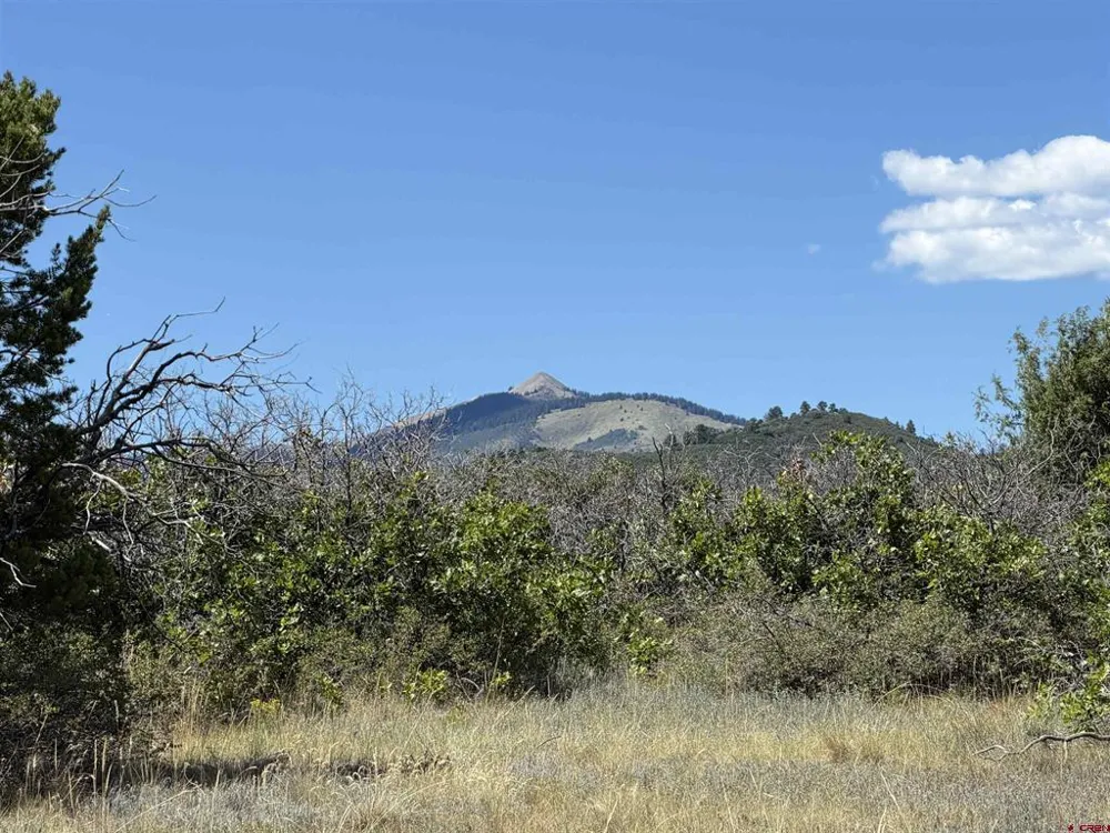 Roberts Ridge Road Hesperus, CO 81326