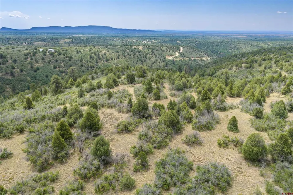 Roberts Ridge Road Hesperus, CO 81326