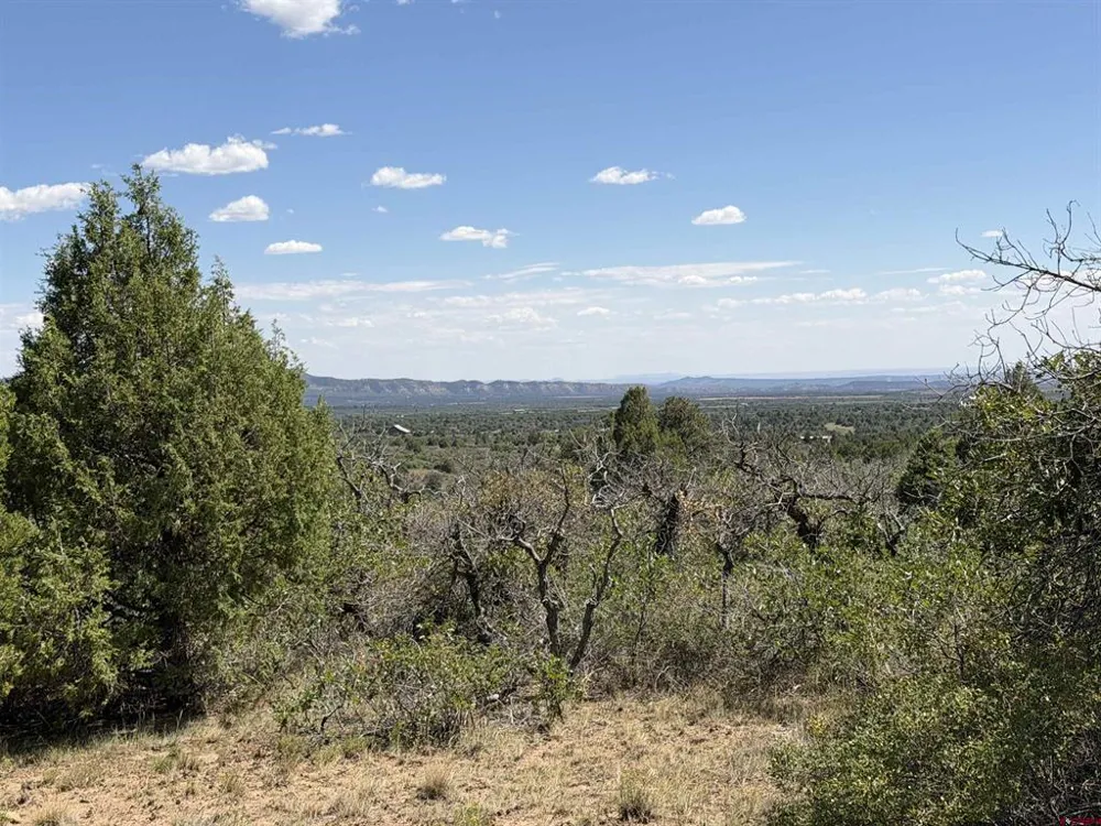 Roberts Ridge Road Hesperus, CO 81326
