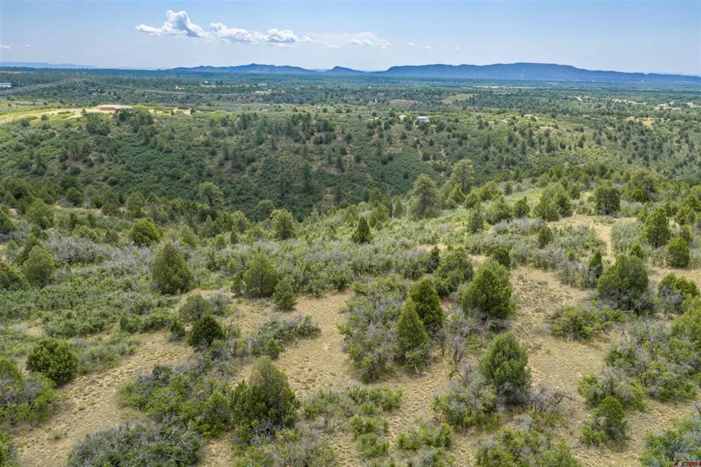 Roberts Ridge Road Hesperus, CO 81326