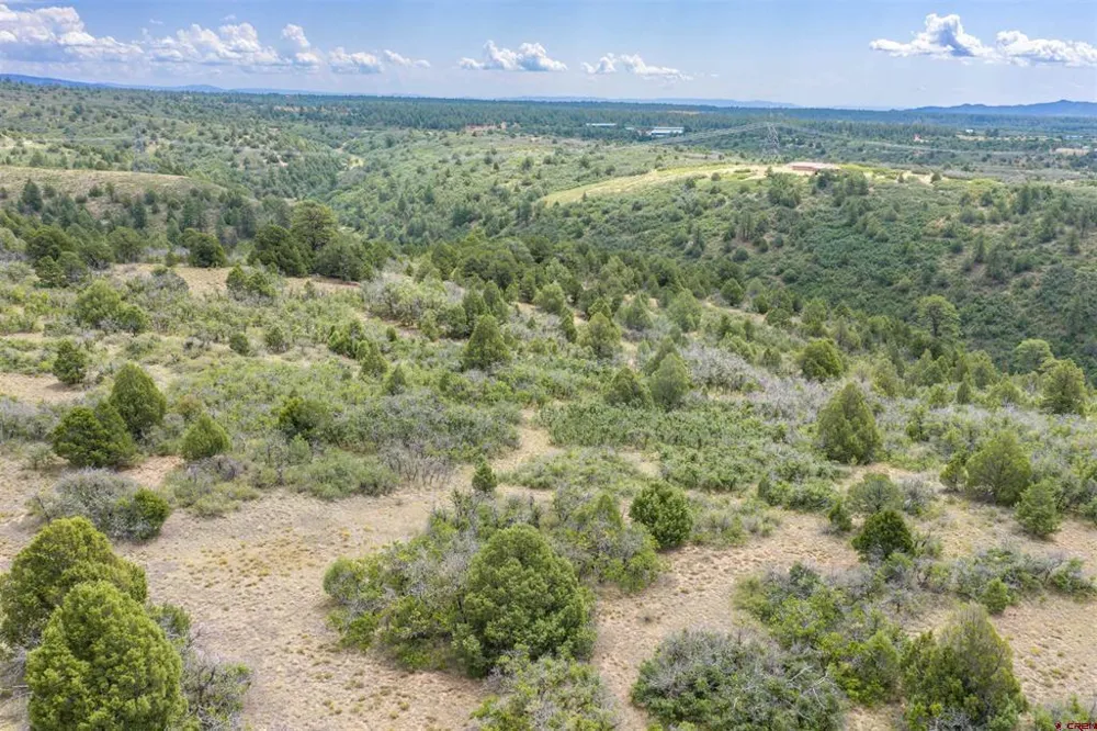 Roberts Ridge Road Hesperus, CO 81326