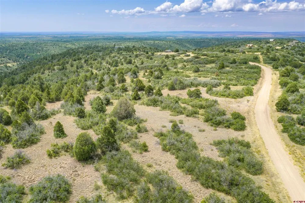 Roberts Ridge Road Hesperus, CO 81326