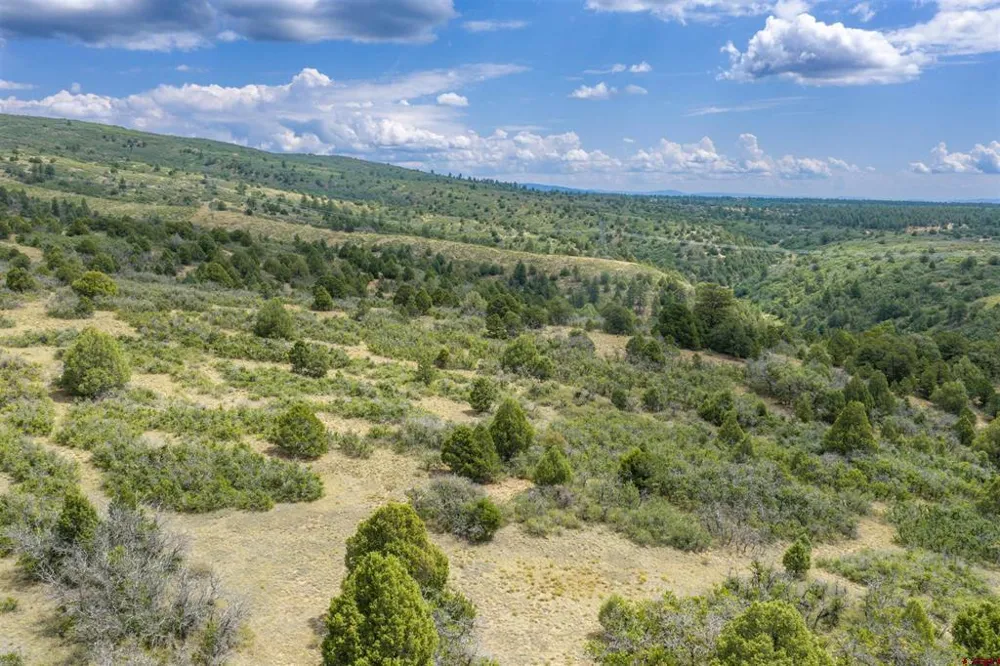 Roberts Ridge Road Hesperus, CO 81326