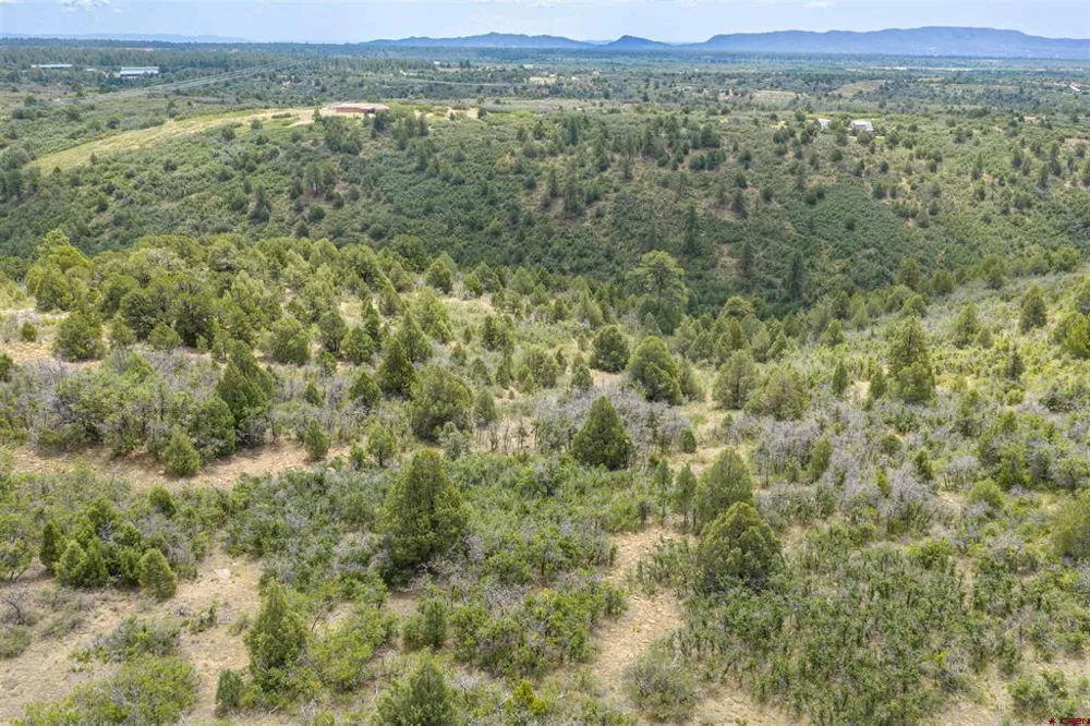 Roberts Ridge Road Hesperus, CO 81326