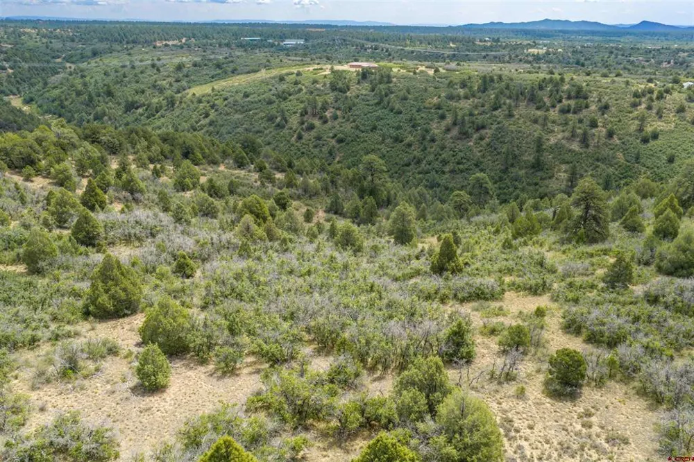 Roberts Ridge Road Hesperus, CO 81326