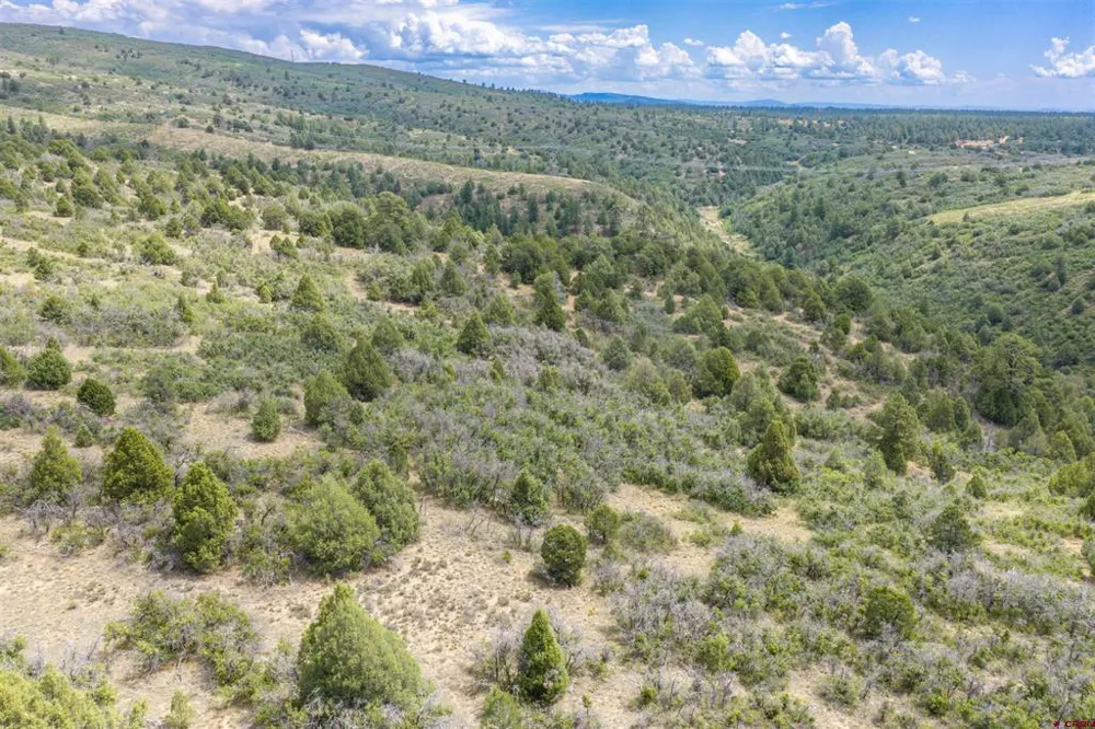 Roberts Ridge Road Hesperus, CO 81326
