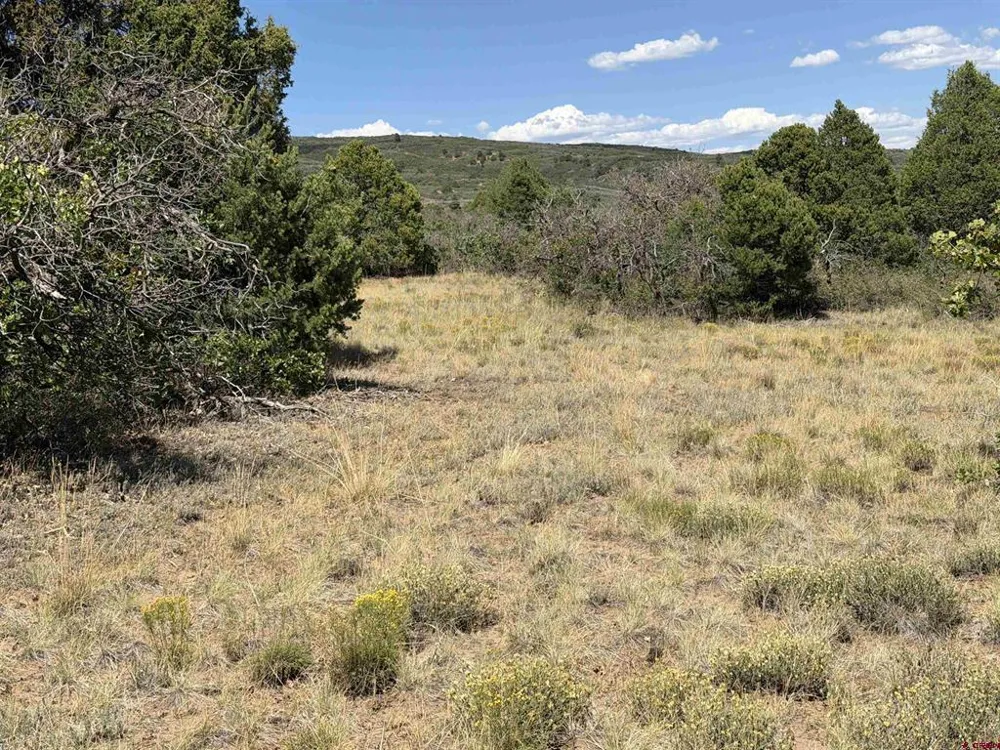 Roberts Ridge Road Hesperus, CO 81326