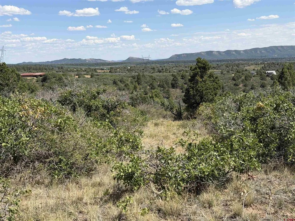 Roberts Ridge Road Hesperus, CO 81326