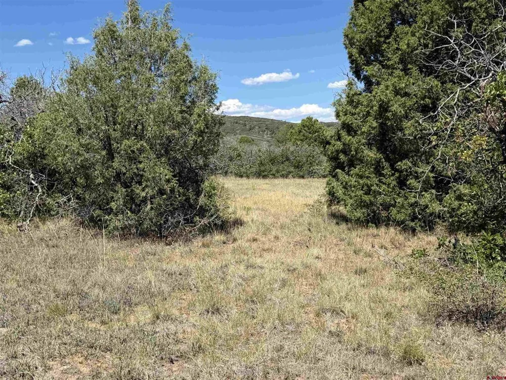 Roberts Ridge Road Hesperus, CO 81326