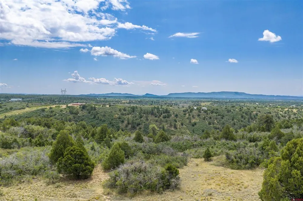Roberts Ridge Road Hesperus, CO 81326