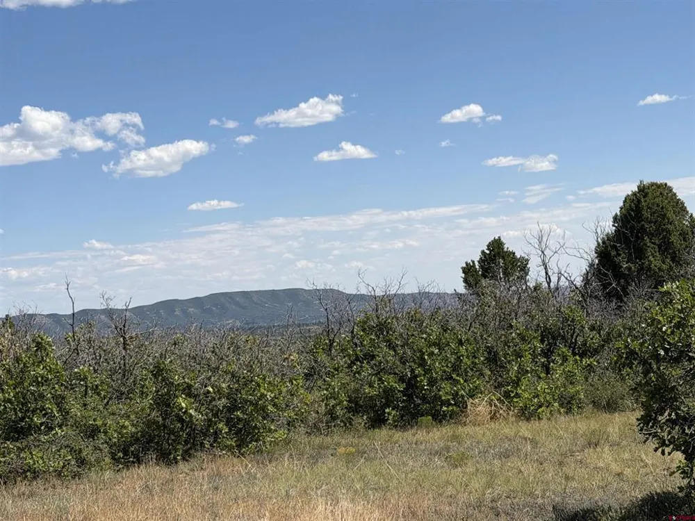 Roberts Ridge Road Hesperus, CO 81326