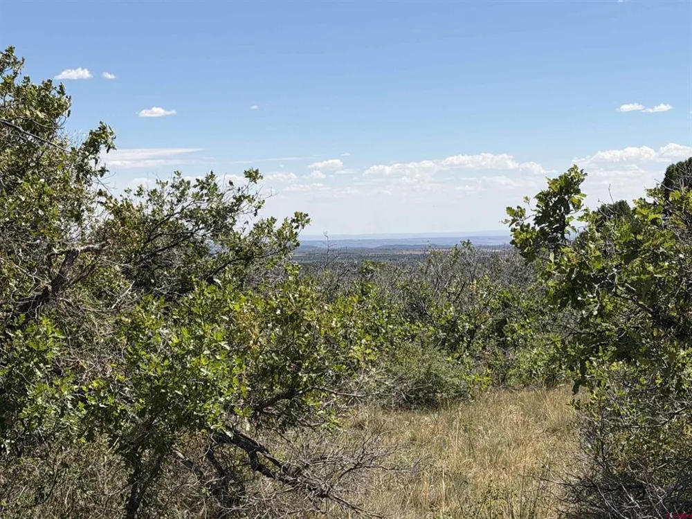 Roberts Ridge Road Hesperus, CO 81326