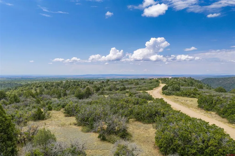 Roberts Ridge Road Hesperus, CO 81326