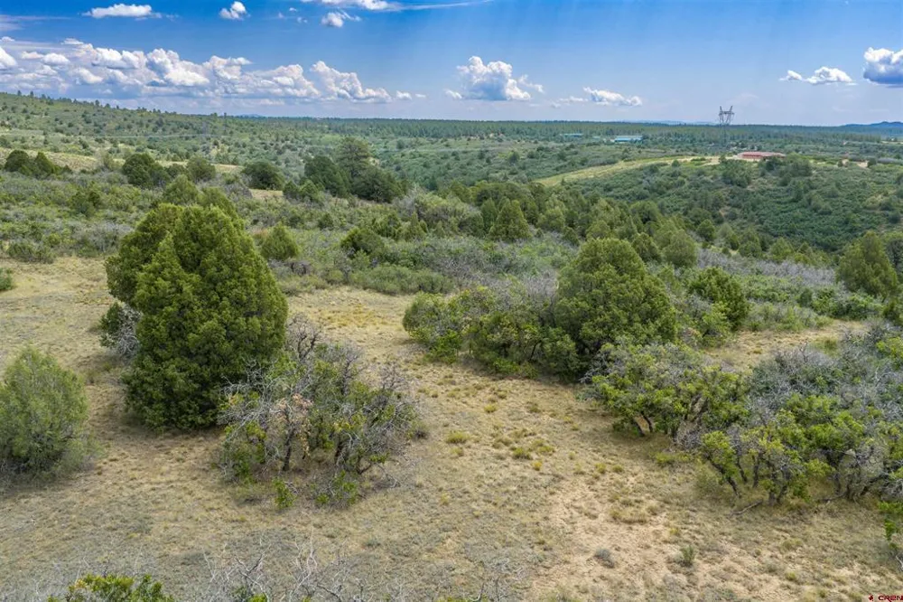 Roberts Ridge Road Hesperus, CO 81326