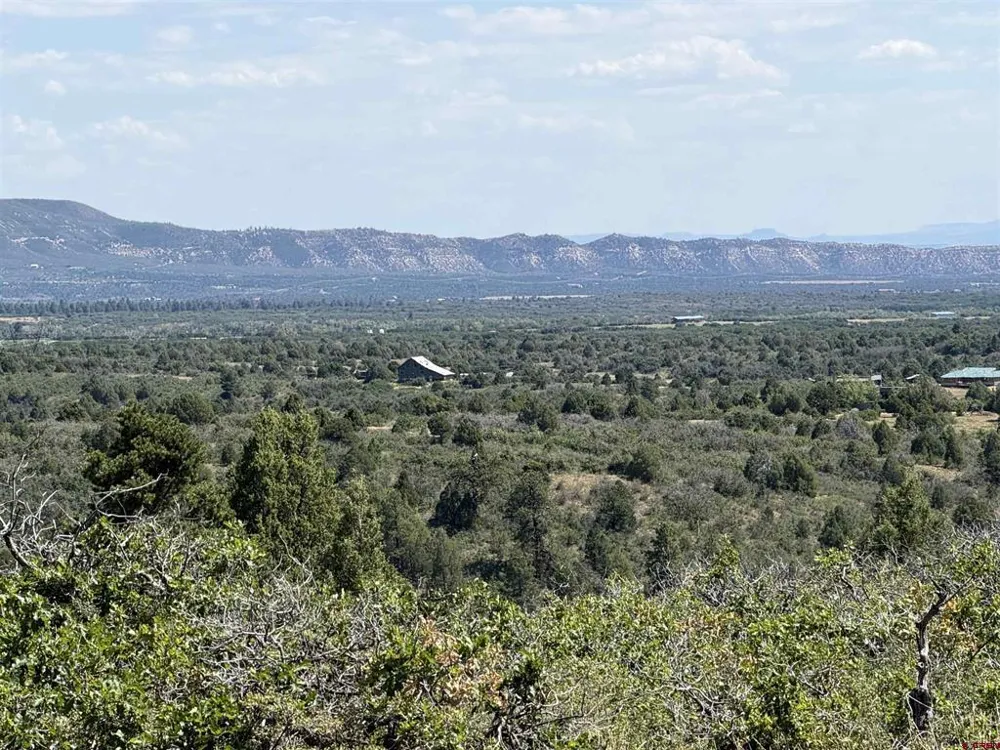 Roberts Ridge Road Hesperus, CO 81326