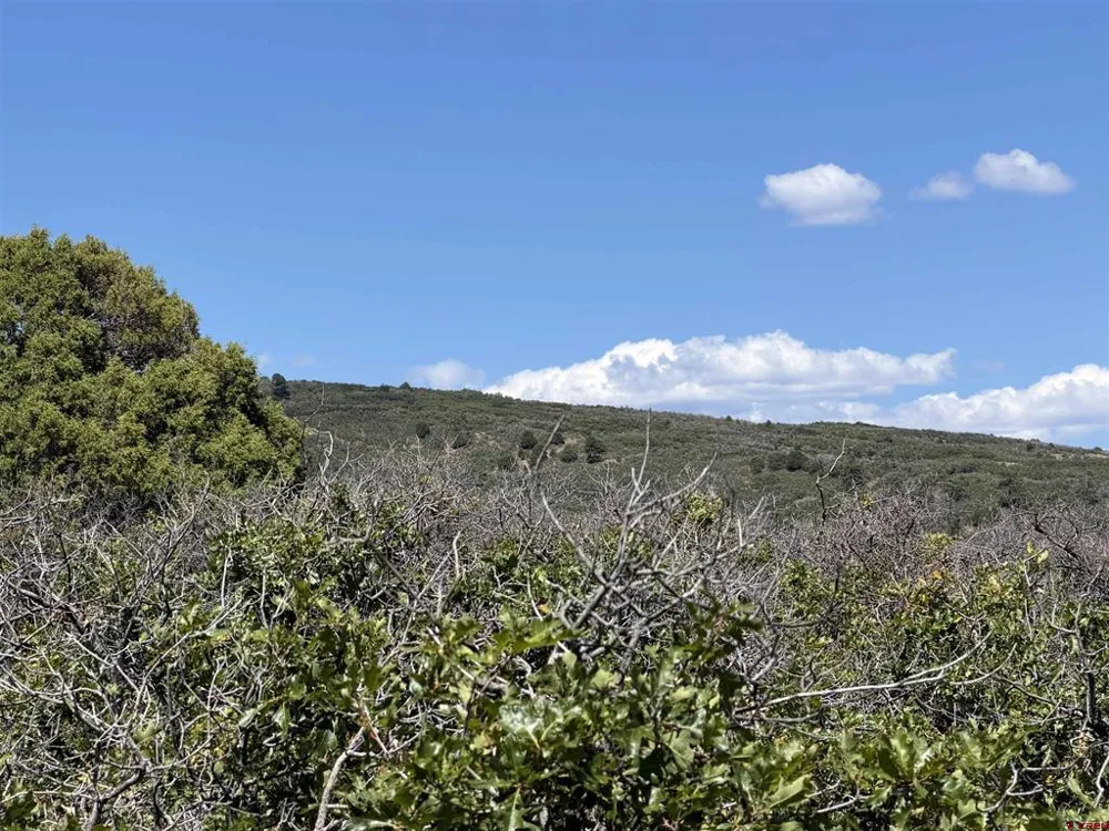 Roberts Ridge Road Hesperus, CO 81326