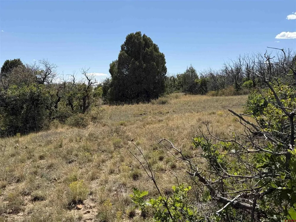 Roberts Ridge Road Hesperus, CO 81326