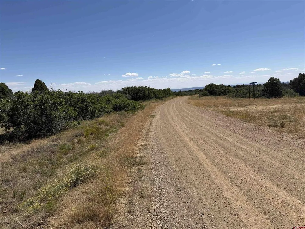 Roberts Ridge Road Hesperus, CO 81326