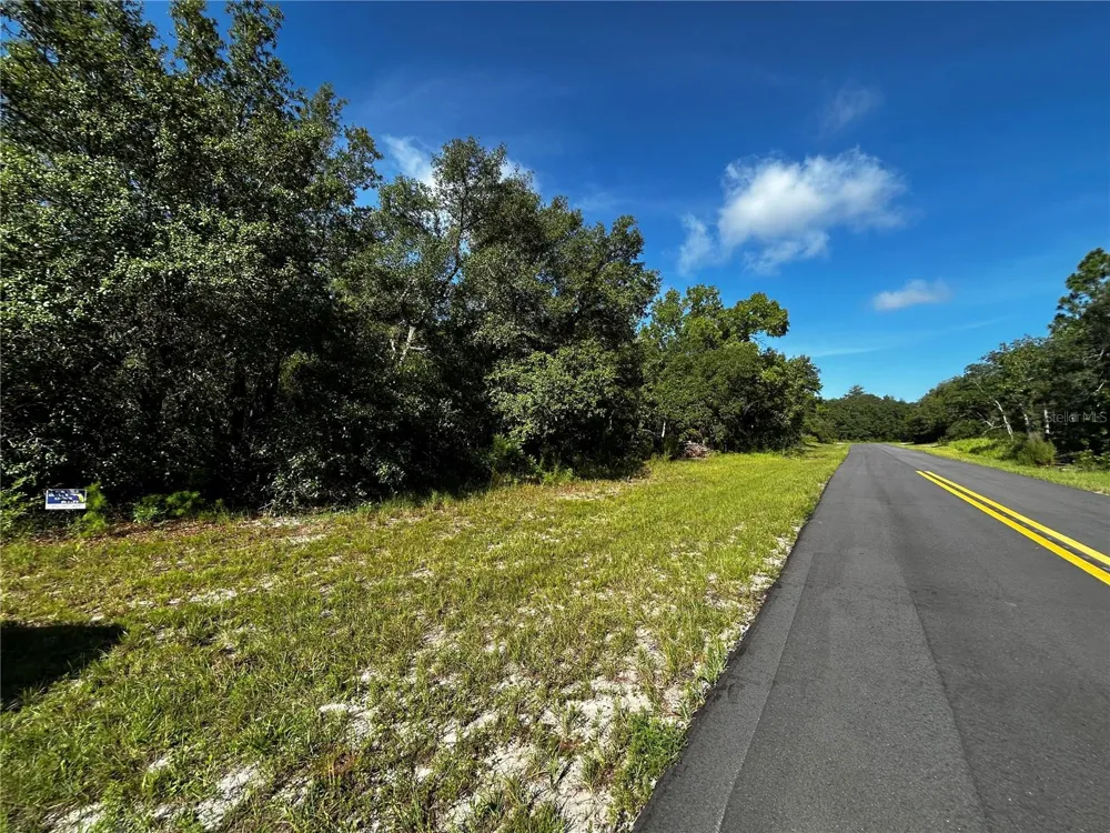 SW 148TH PL ROAD ocala, FL 34473