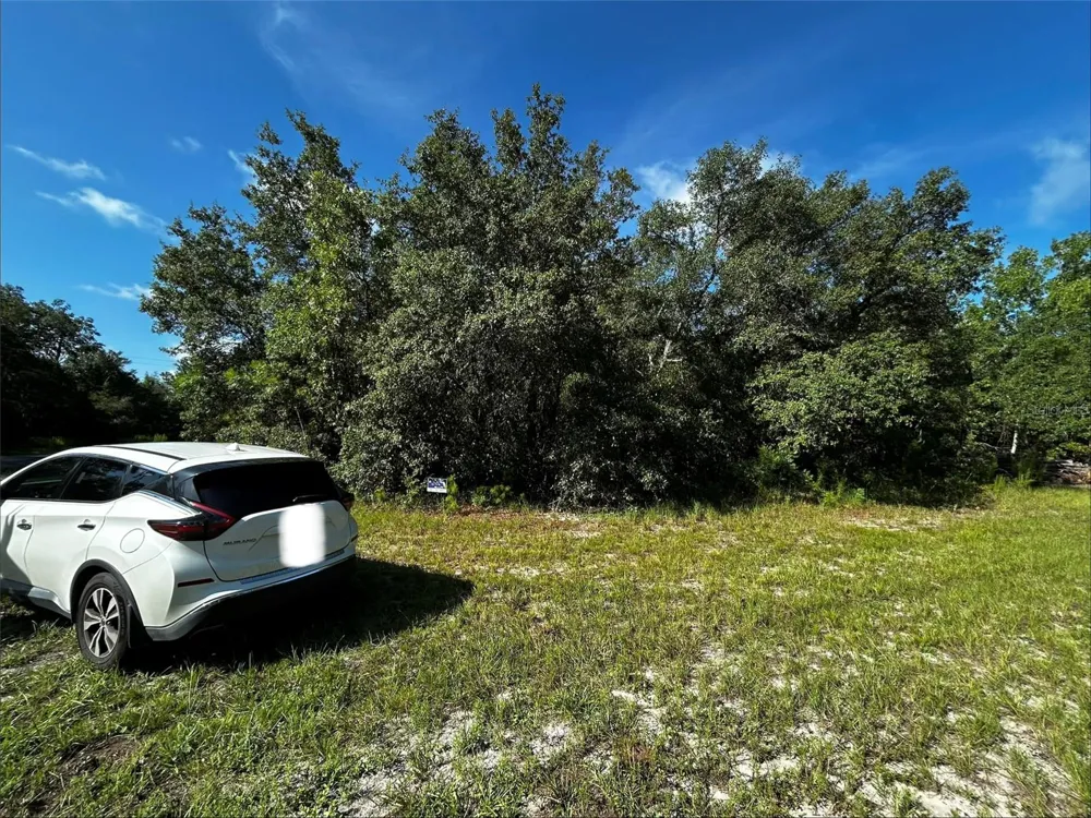 SW 148TH PL ROAD ocala, FL 34473