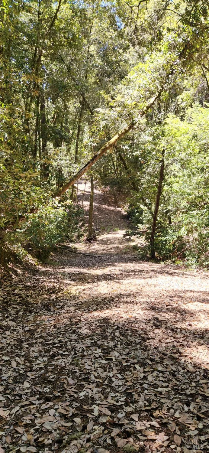 40330 Old Stage Road Gualala, CA 95445
