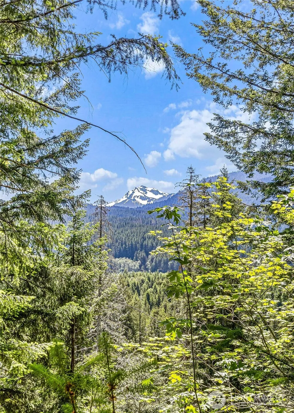 133 A Hinkle Tinkle Packwood, WA 98361