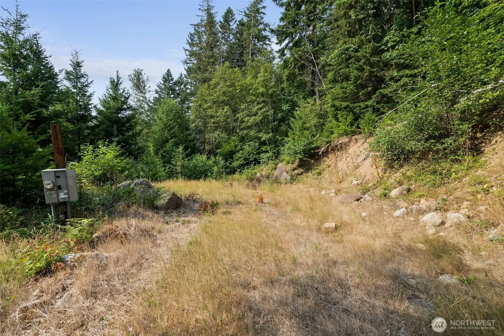 133 A Hinkle Tinkle Packwood, WA 98361
