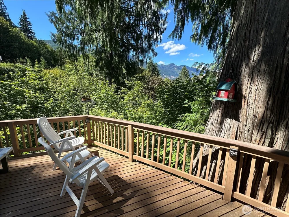 4989 Kahtai Trail Concrete, WA 98237