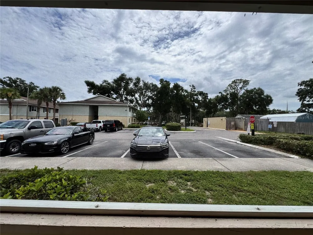 202 RED MAPLE PLACE #202 Brandon, FL 33510