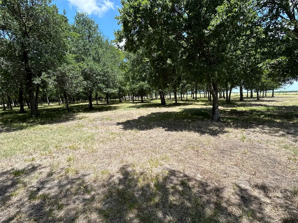 2200 Creechville Road Ennis, TX 75119