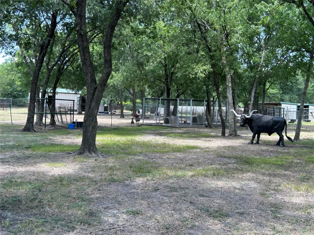2200 Creechville Road Ennis, TX 75119