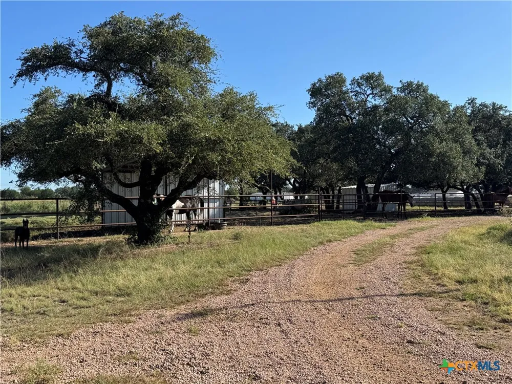 223 County Road 303 Bertram, TX 78605