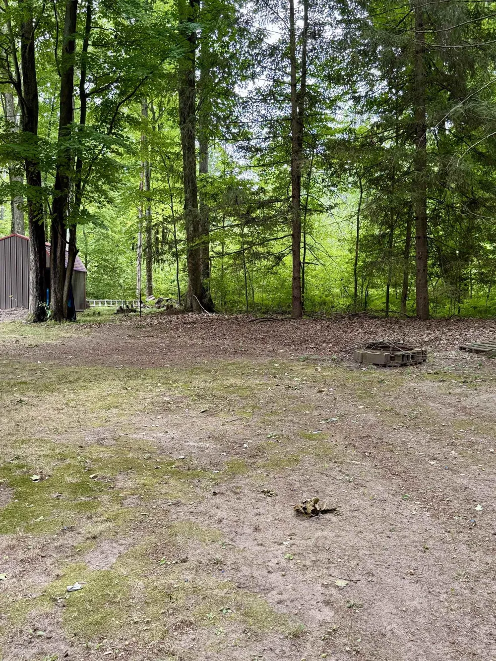 1949 Wolf Lake Drive Peacock Township, MI 49304