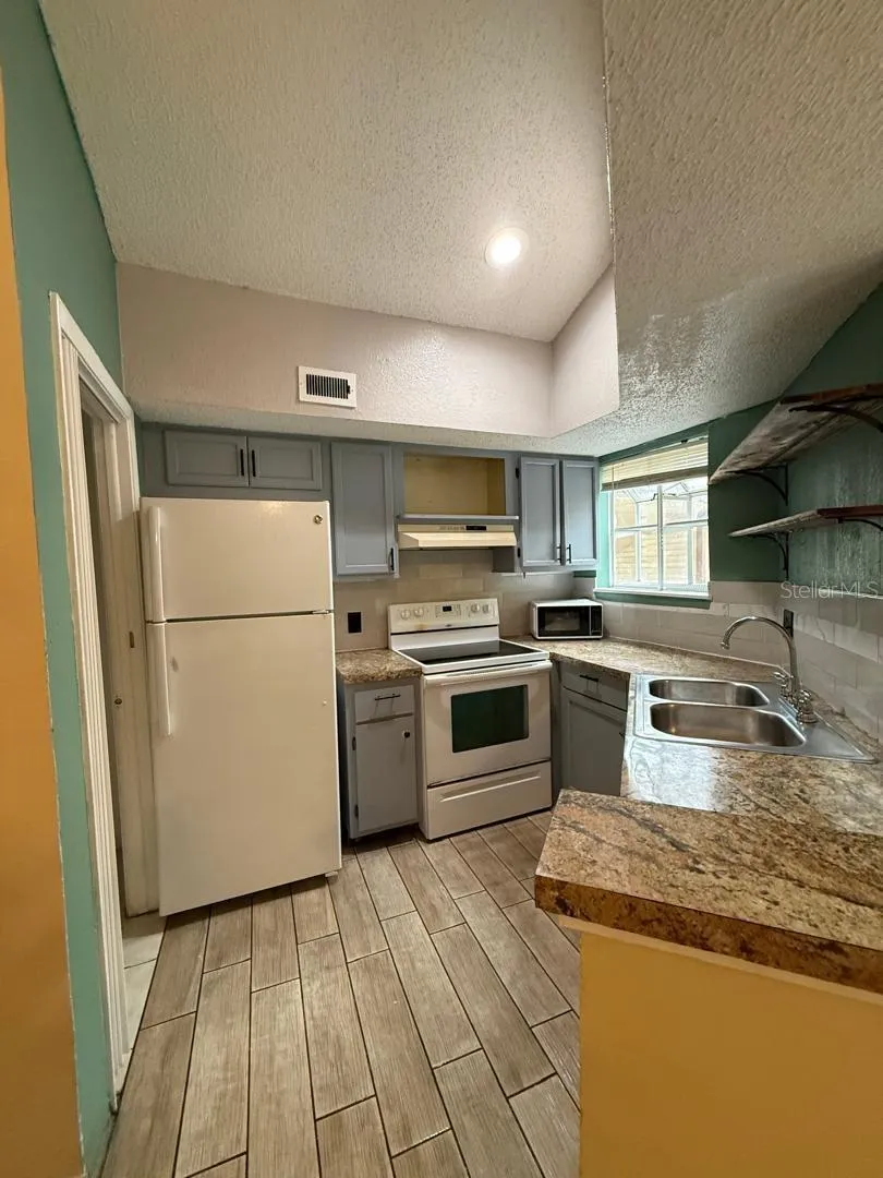 1924 LAKE ATRIUMS CIRCLE #55 Orlando, FL 32839