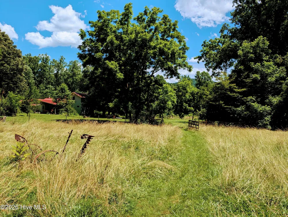 169 E Vineyard Road Hayesville, NC 28904