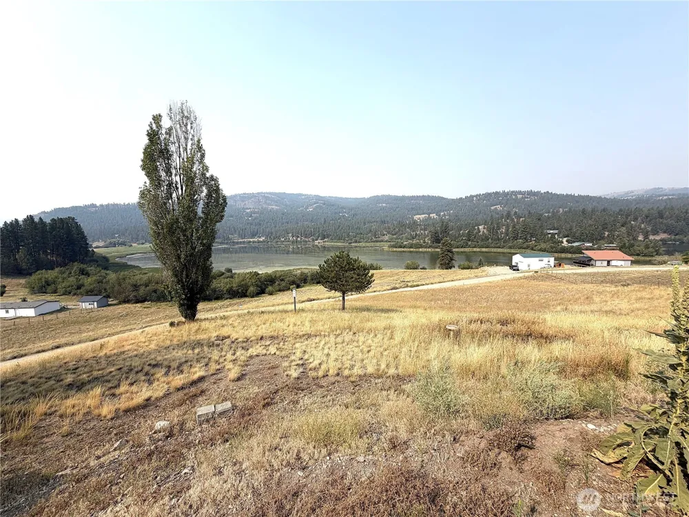 62 HERON LOOP Republic, WA 99166